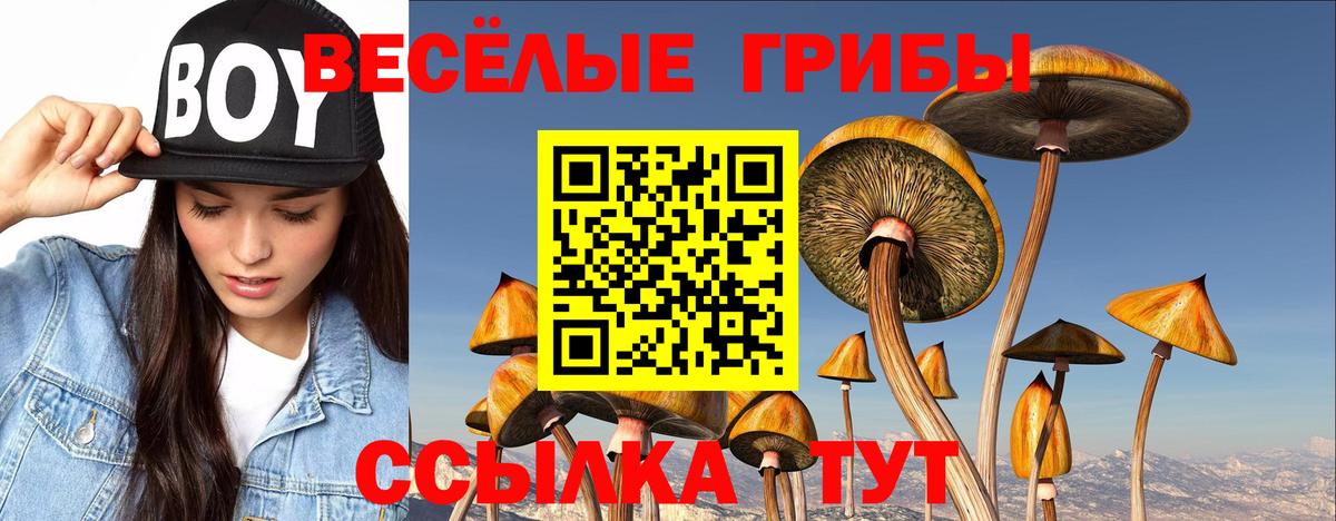 Галлюциногенные грибы MAGIC MUSHROOMS Татарск
