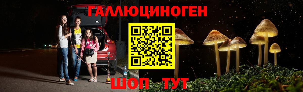 Галлюциногенные грибы GOLDEN TEACHER  Вход с VPN  Татарск 